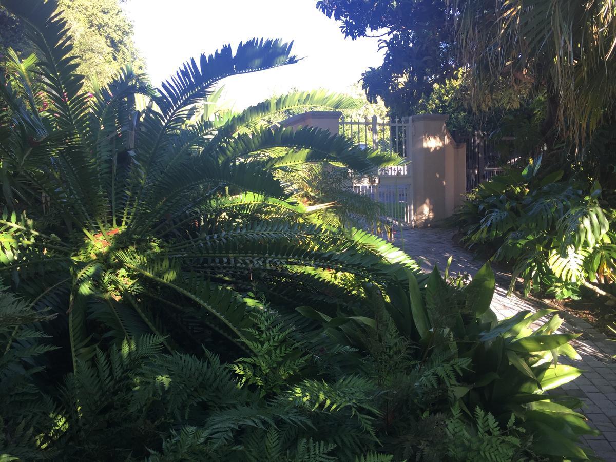 Constantia Valley Lodge Cape Town Exterior photo